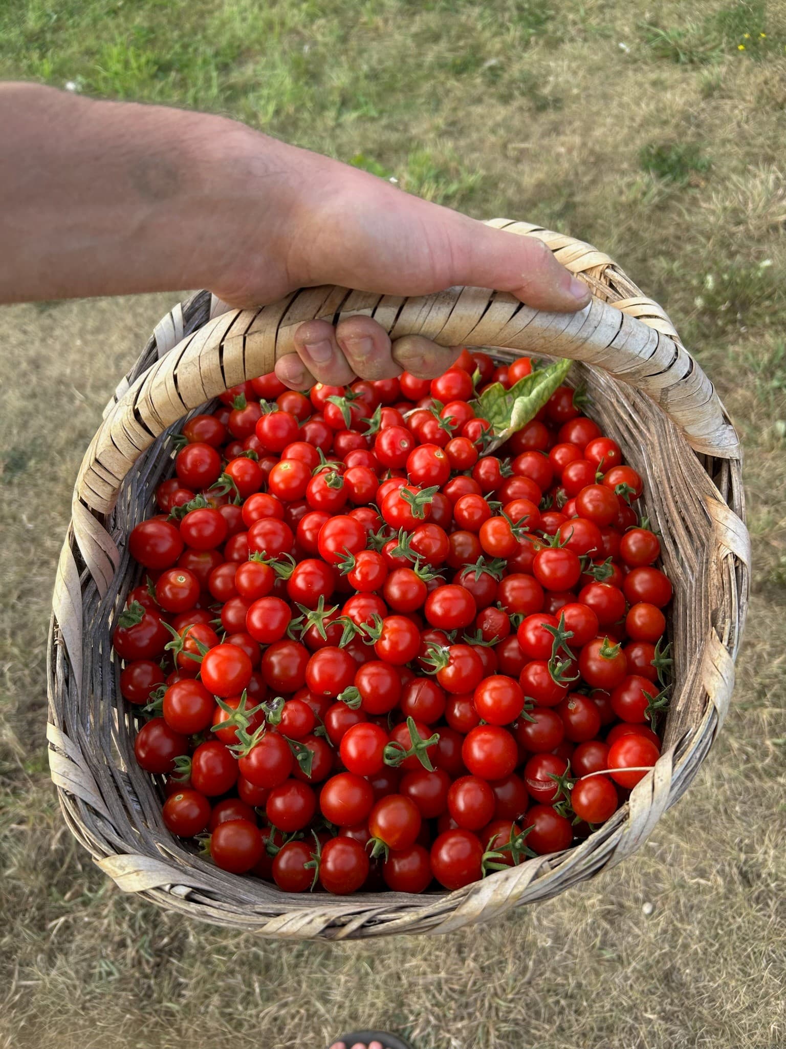 Small Pick as You Go