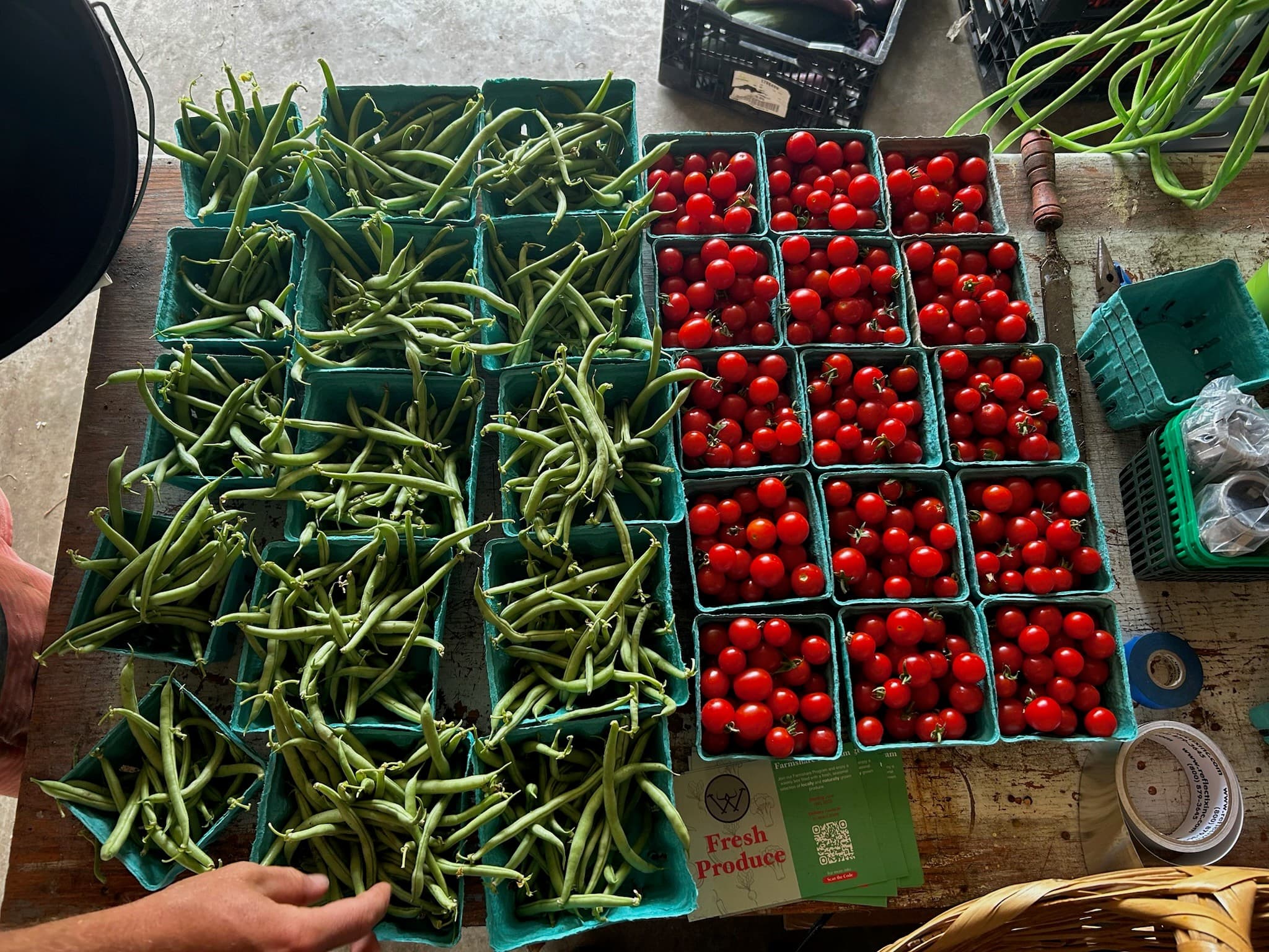 Regular Pick as You Go