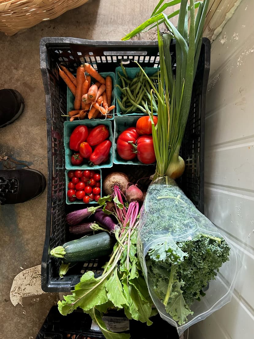 Regular Full Harvest Box